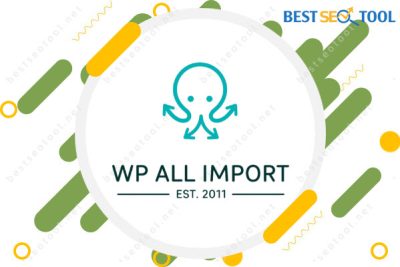 WP All Import Plugin